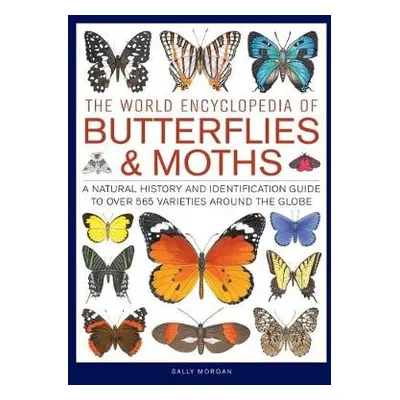 Butterflies a Moths, The World Encyclopedia of - Morgan, Sally