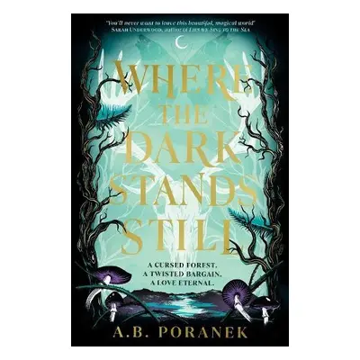 Where the Dark Stands Still - Poranek, A.B.