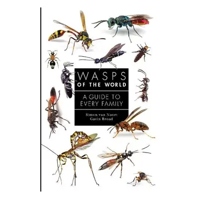 Wasps of the World - Noort, Simon van a Broad, Gavin