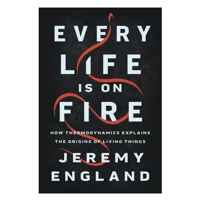 Every Life Is On Fire - England, Jeremy