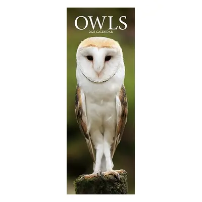 Owls Slim Calendar 2025 Bird Slimline Calendar - 12 Month