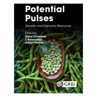 Potential Pulses