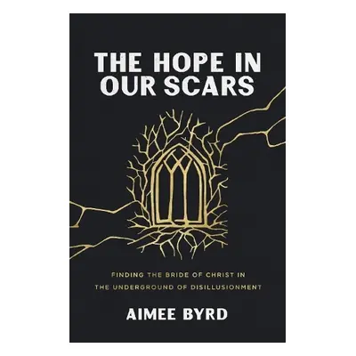 Hope in Our Scars - Byrd, Aimee