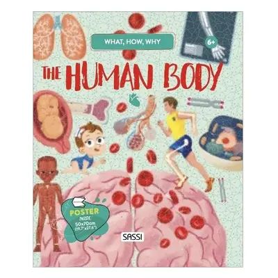 QUESTIONS ANSWERS HUMAN BODY