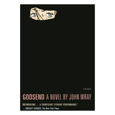 Godsend - Wray, John