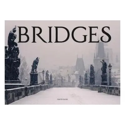 Bridges - Ross, David