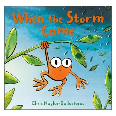 When the Storm Came - Naylor-Ballesteros, Chris