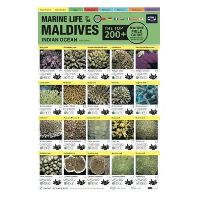 Maldives Marine Life Field Guide - Godfrey, Tim