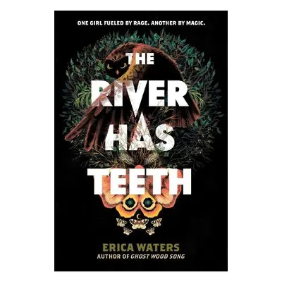 River Has Teeth - Waters, Erica