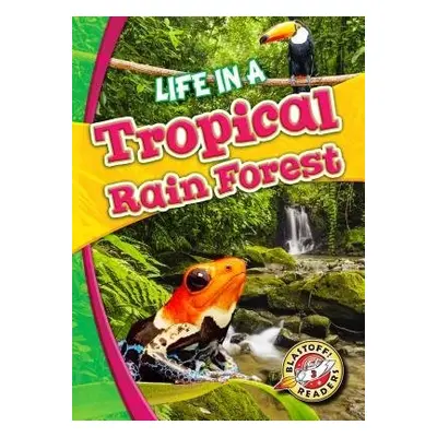 Life in a Tropical Rain Forest - Schuetz, Kari