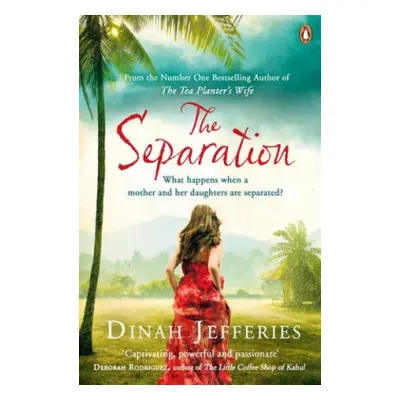 Separation - Jefferies, Dinah