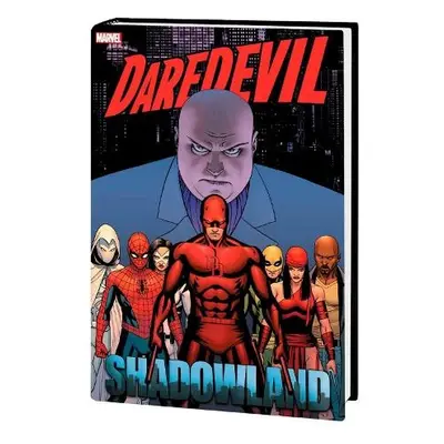 Daredevil: Shadowland Omnibus Cassaday Cover (new Printing) - Diggle, Andy a Johnston, Antony a 