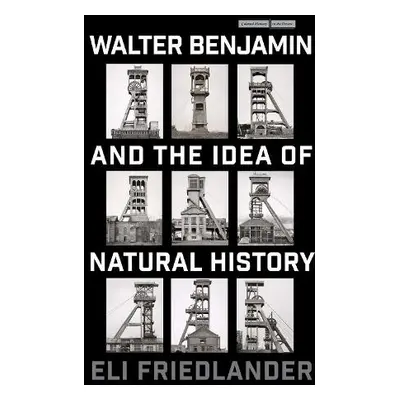 Walter Benjamin and the Idea of Natural History - Friedlander, Eli