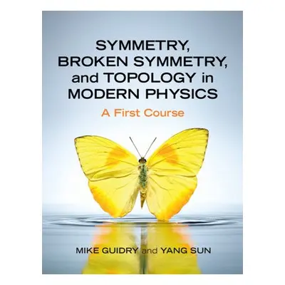 Symmetry, Broken Symmetry, and Topology in Modern Physics - Guidry, Mike (University of Tennesse