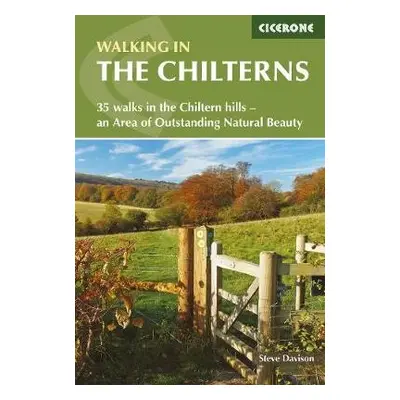 Walking in the Chilterns - Davison, Steve