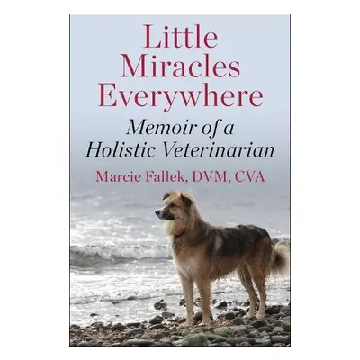 Little Miracles Everywhere - Fallek, Marcie