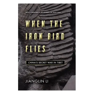 When the Iron Bird Flies - Li, Jianglin