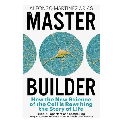 Master Builder - Arias, Alfonso Martinez