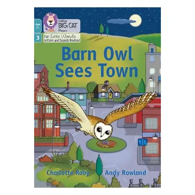 Barn Owl Sees Town - Raby, Charlotte