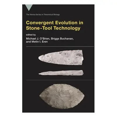 Convergent Evolution in Stone-Tool Technology