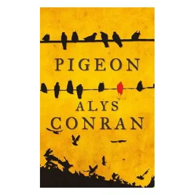 Pigeon - Conran, Alys