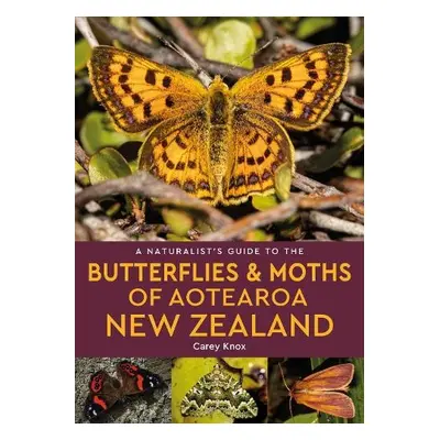 Naturalist's Guide to the Butterflies a Moths of Aotearoa New Zealand - Knox, Carey