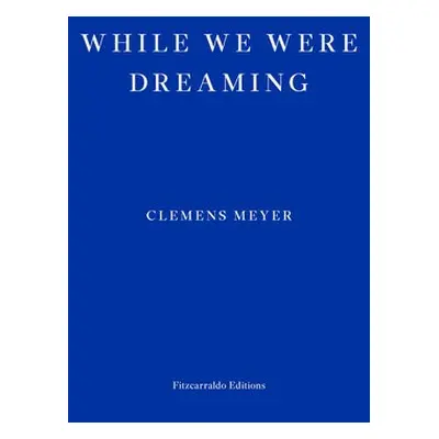 While We Were Dreaming - Meyer, Clemens