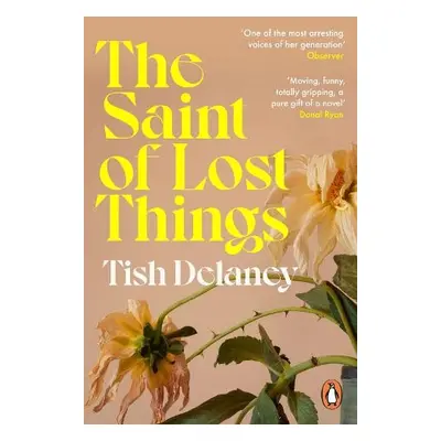 Saint of Lost Things - Delaney, Tish