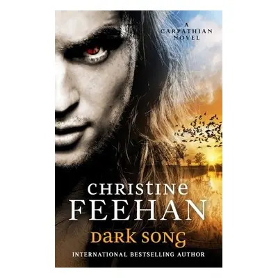 Dark Song - Feehan, Christine