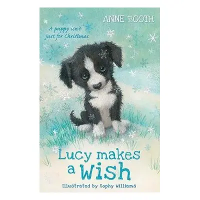 Lucy Makes a Wish - Booth, Anne