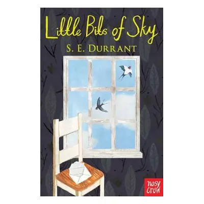 Little Bits of Sky - Durrant, S. E.