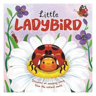 Little Ladybird - Autumn Publishing