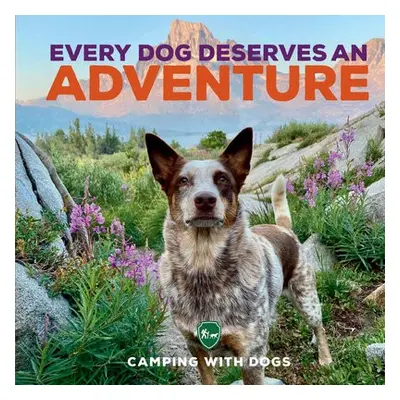 Every Dog Deserves an Adventure - Camping with Dogs a Tracosas, L. J.