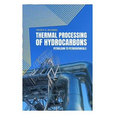 Thermal Processing of Hydrocarbons - Banerjee, Dwijen K.