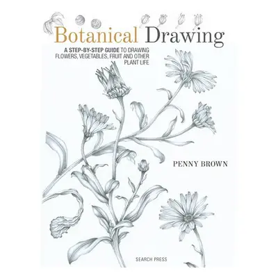 Botanical Drawing - Brown, Penny