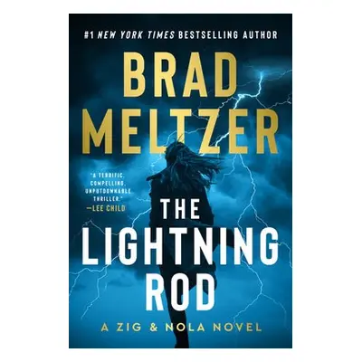 Lightning Rod - Meltzer, Brad