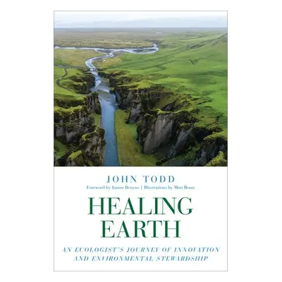 Healing Earth - Todd, John