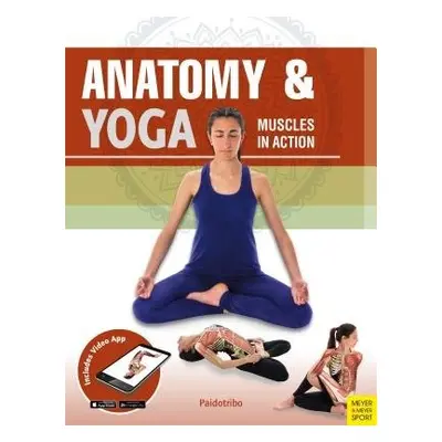 Anatomy a Yoga - Coll, Mireia Patino