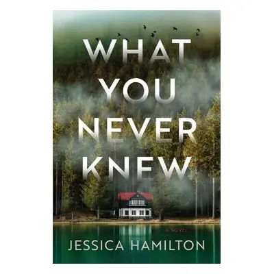 What You Never Knew - Hamilton, Jessica