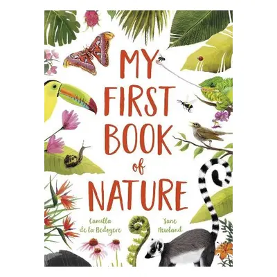 My First Book of Nature - Bedoyere, Camilla De La