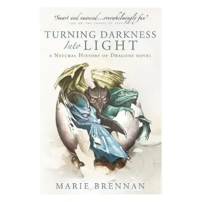 Turning Darkness into Light - Brennan, Marie