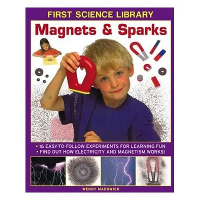 First Science Library: Magnets a Sparks - Madgwick Wendy