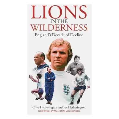 Lions in the Wilderness - Hetherington, Clive a Hetherington, Joe