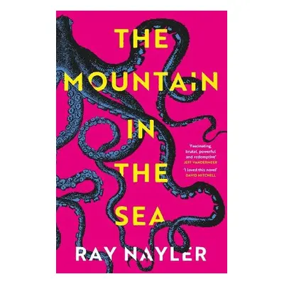 Mountain in the Sea - Nayler, Ray