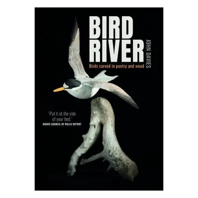 Bird River - Davies, John