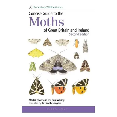 Concise Guide to the Moths of Great Britain and Ireland: Second edition - Townsend, Martin a War