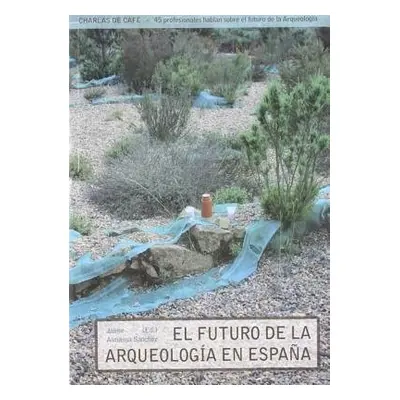 El futuro de la arqueologia en Espana