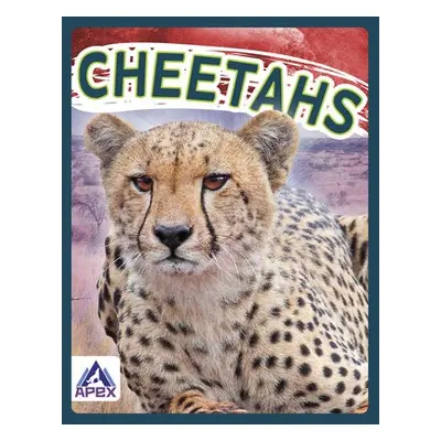 Wild Cats: Cheetahs - Geister-Jones, Sophie