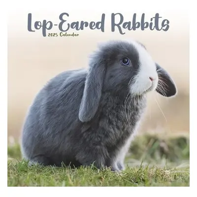 Rabbits - Lop Eared Calendar 2025 Square Animal Wall Calendar - 16 Month