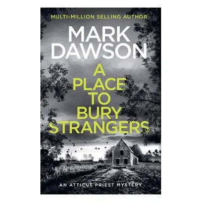 Place to Bury Strangers - Dawson, Mark